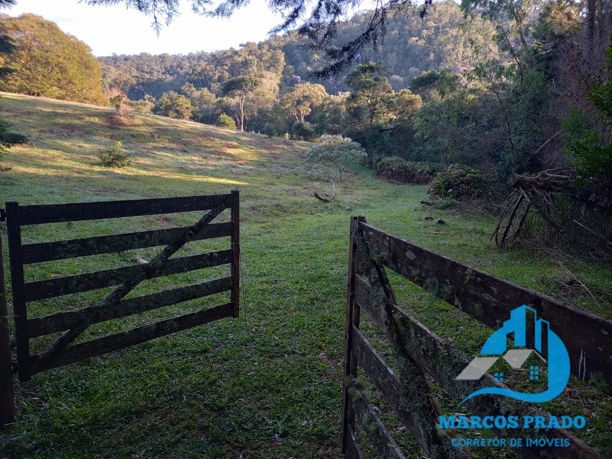 Fazenda à venda, 24000m² - Foto 1