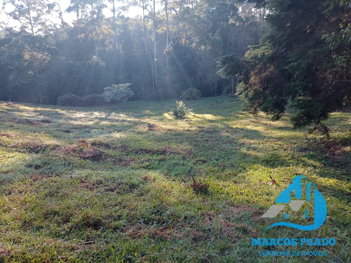 Fazenda à venda, 24000m² - Foto 3