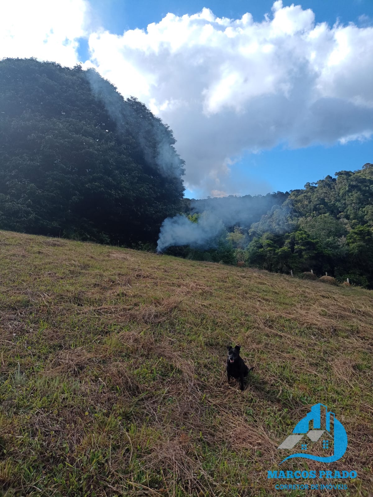 Fazenda à venda, 24000m² - Foto 5